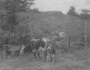 Cows Watering Cows Watering