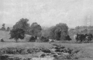 Summer Fields With A Brook Summer Fields With A Brook