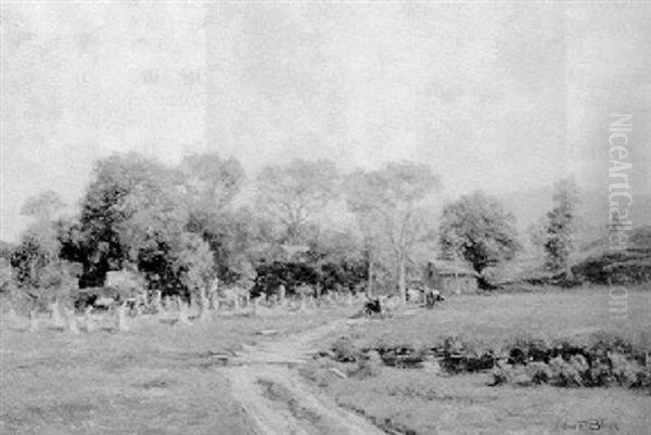 Panoramic Pasture Landscape - view 1