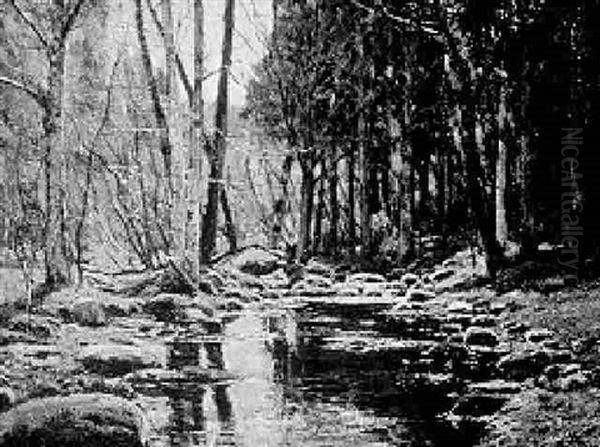 The Wooded Stream, Early Autumn - view 1
