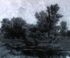 Summer Stream