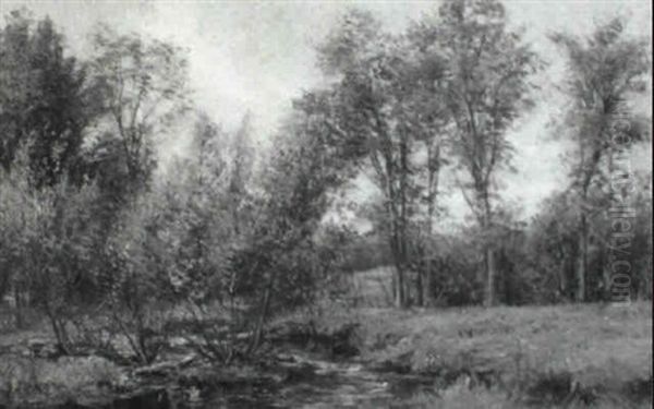 Stream Through Summer Fields And Forest - view 1