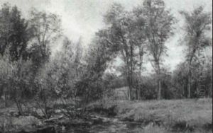 Stream Through Summer Fields And Forest by Olive Parker Black