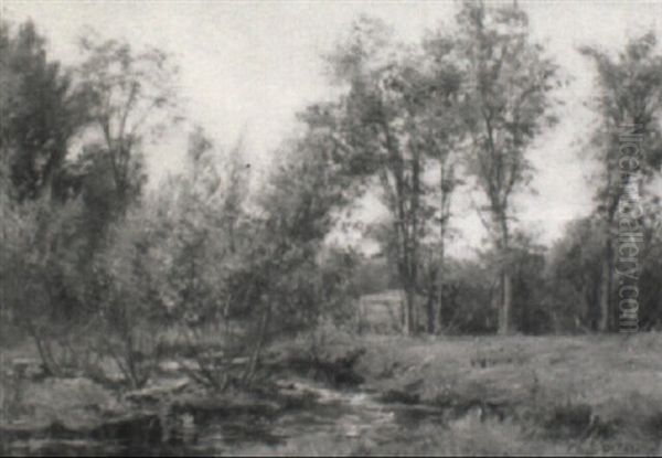 Summer Day - view 1