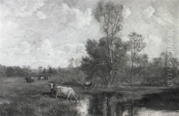 Cattle Watering In A Summer Landscape - view 1