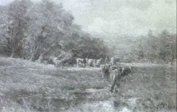 The Meadow Pool - view 1