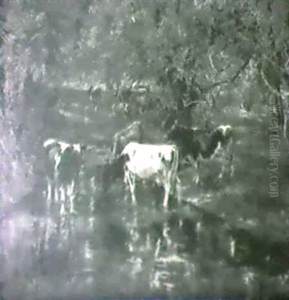 The Pasture Stream - view 1