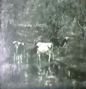 The Pasture Stream by Olive Parker Black