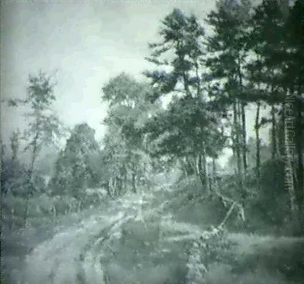 Country Road - view 1