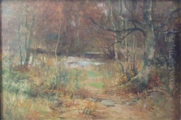 A Stream In The Woods - view 1