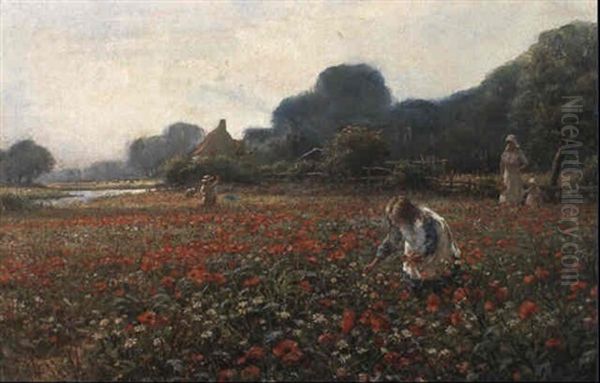 Picking Poppies - view 1