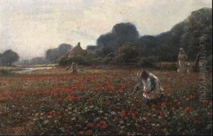 Picking Poppies Picking Poppies