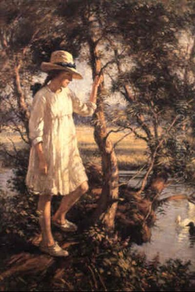 A Quiet Backwater - view 1
