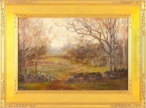 Forest Interior Forest Interior