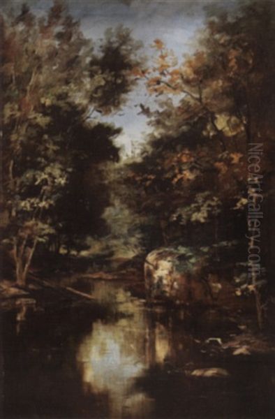 Woodland Stream - view 1