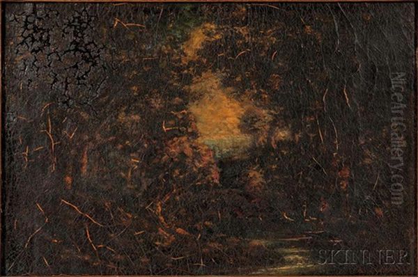 Woodland Stream - view 1