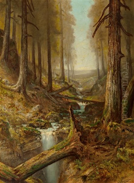 Forest Interior - view 1