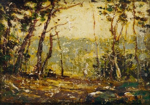 Wood's Edge - view 1