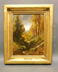 The Trout Stream