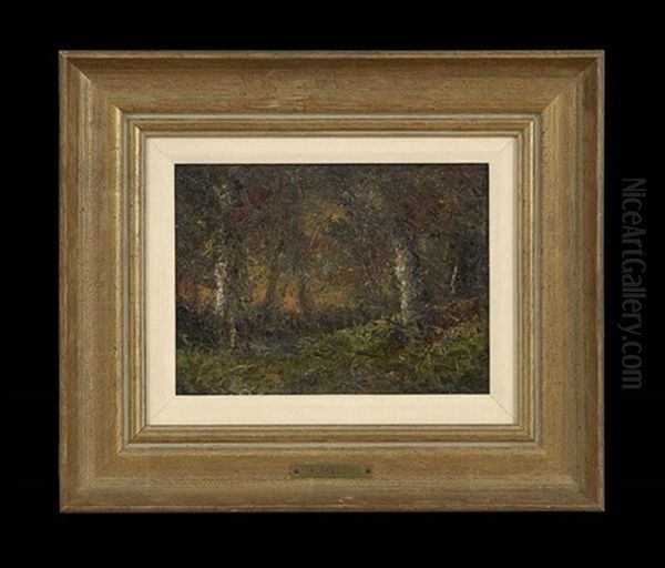 Wooded Landscape At Sunset - view 1