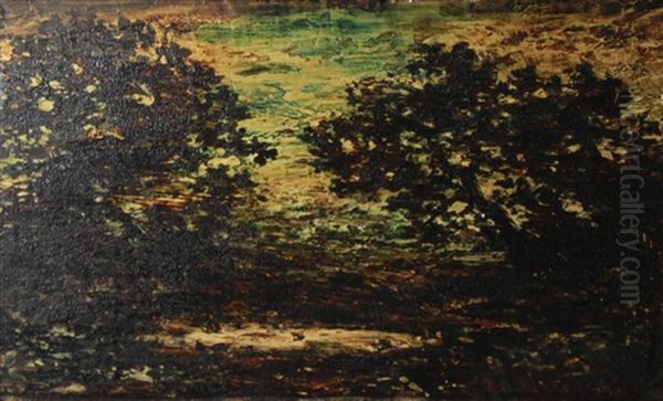 Sunset Scene- Dark Trees Around A Pool - view 1