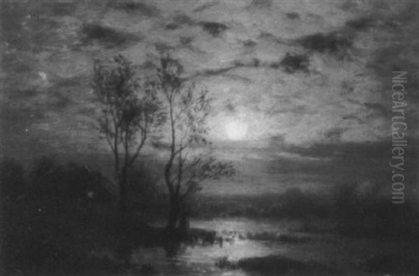 In The Moonlight - view 1