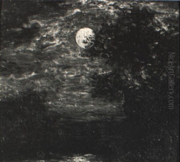Moonlit Night - view 1