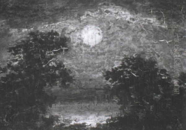 Moonlit Night - view 1