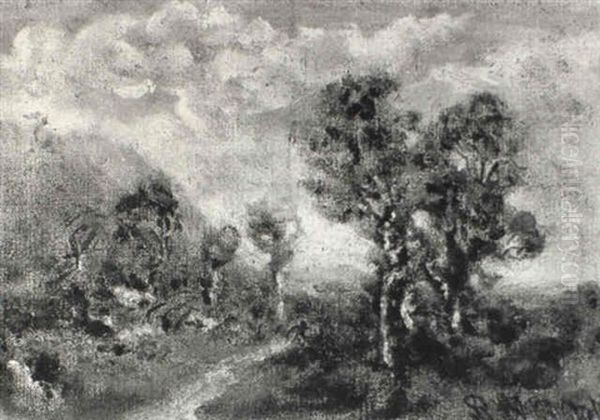Path Through The Woods - view 1