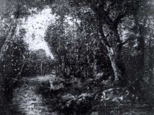 Stag In Forest