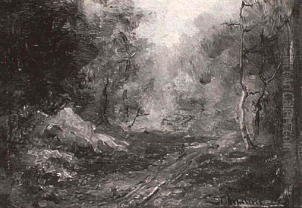 Woodland Landscape - view 1