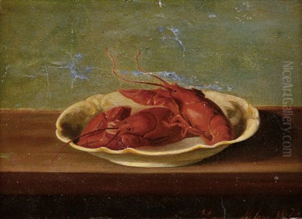 Crostacei - view 1