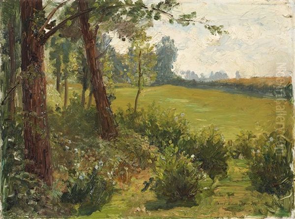 Landschaft Mit Wiese Und Baumen - view 1