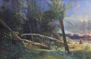 Paisaje De Veracruz