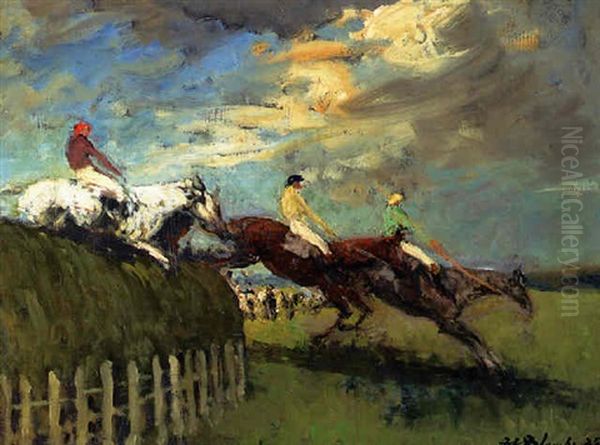 Taking A Fence - view 1