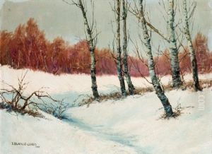 Paisaje Nevado by Jose Blanco Coris