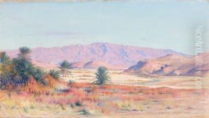 Algerische Landschaft Bei Biskra