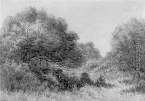 Paysage En Ete - view 1