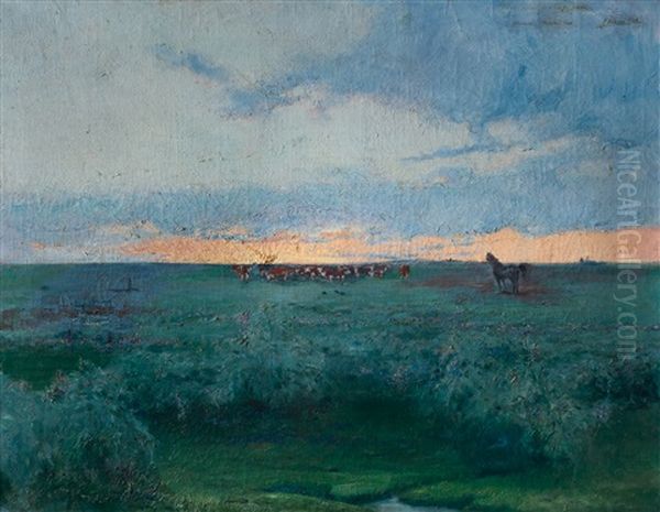 Rodeo - view 1
