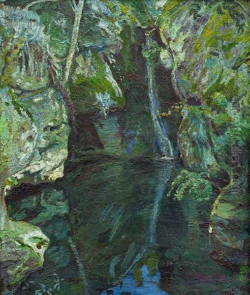 Fuente Del Puma - view 1