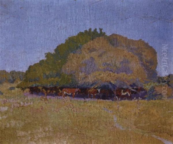 Mediodia De Verano - view 1