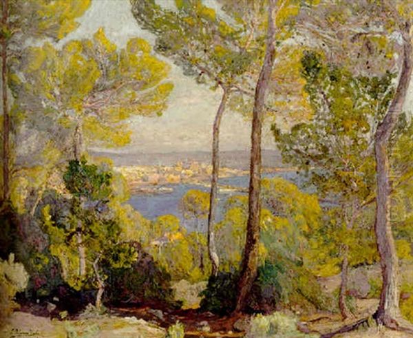 Paisaje De Palma - view 1