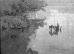 Reflejos Del Arroyo Maciel Con Luna
