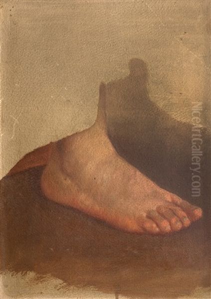 Pie De La Cutiva - view 1