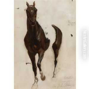 El Caballo De La Revista De Santos (preliminary Study) by Juan Manuel Blanes