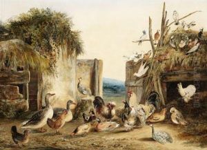 Aves En Elcorral by Aline Alaux