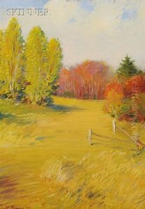 The Meadow The Meadow