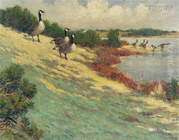 Geese At Eastham - view 1