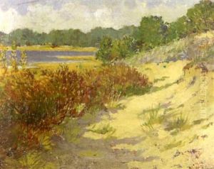 Coastal Landscape Coastal Landscape