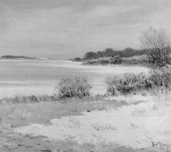 On The Coast - view 1